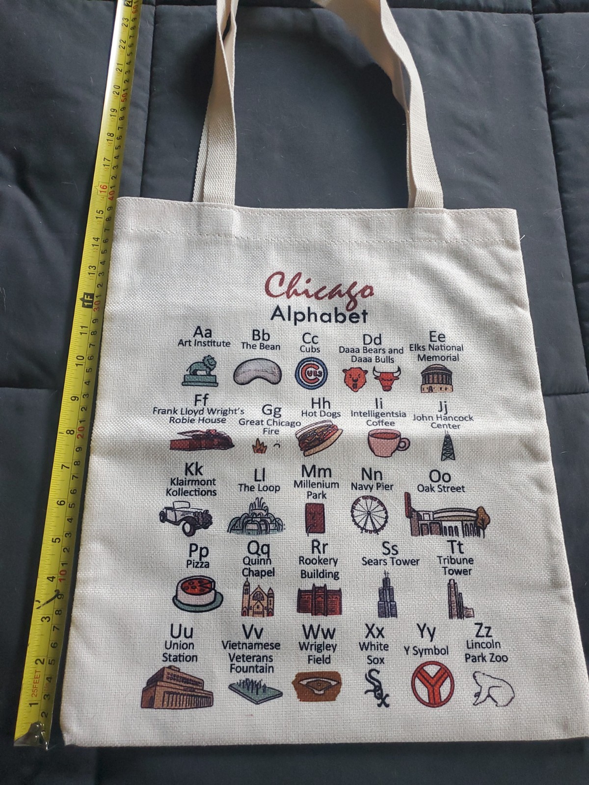 Chicago Tote Bag NEVER Used Great Condition See Pics