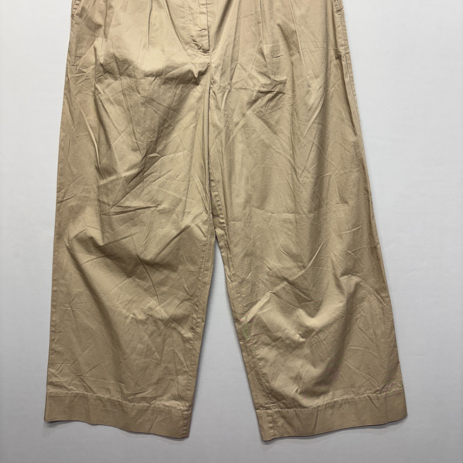 NWT Ann Taylor LOFT Pleated Wide Leg Pants Trouser Size 6 Beige SP24 D077 -27
