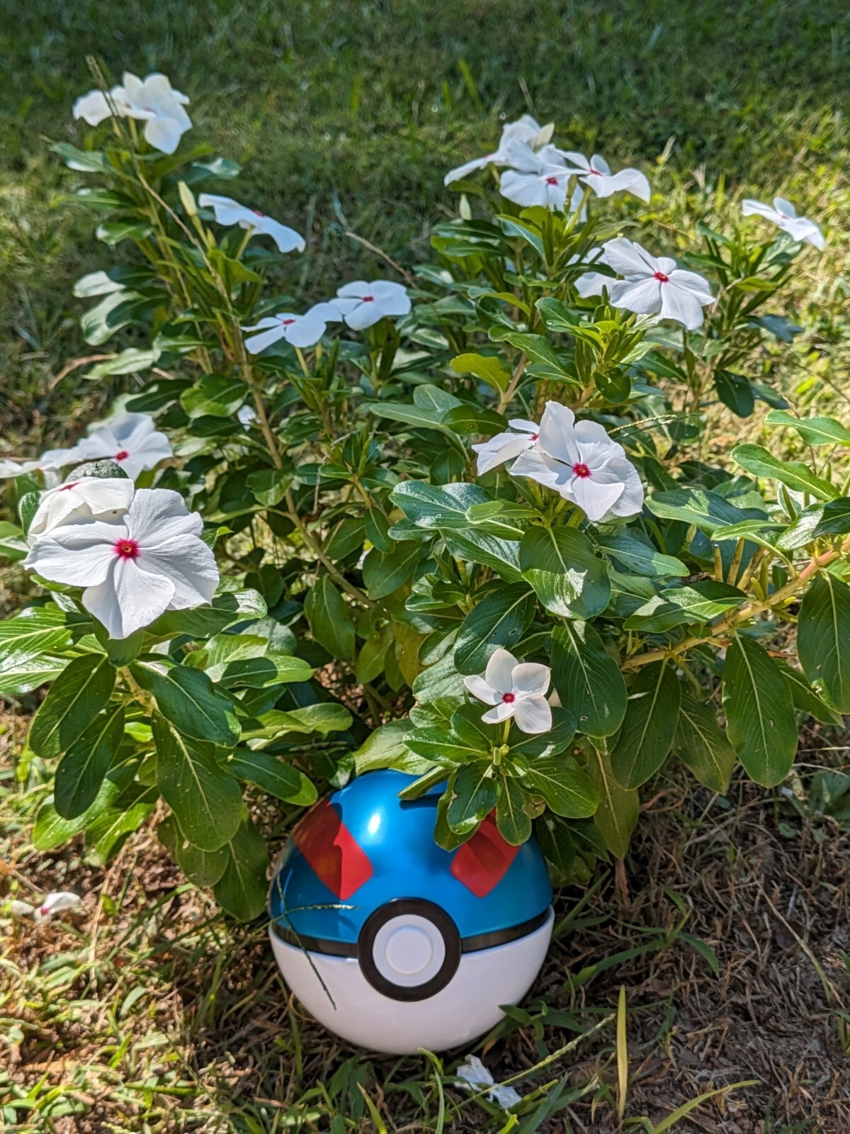 Pokemon Poke ball Decor Costume Prop Cosplay Collectible Toy