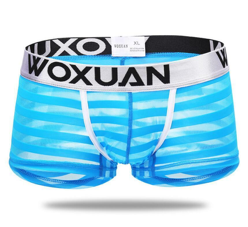 Men’s Sexy Underwear Transparent Underpants Boxers Mesh Shorts Pouch Briefs