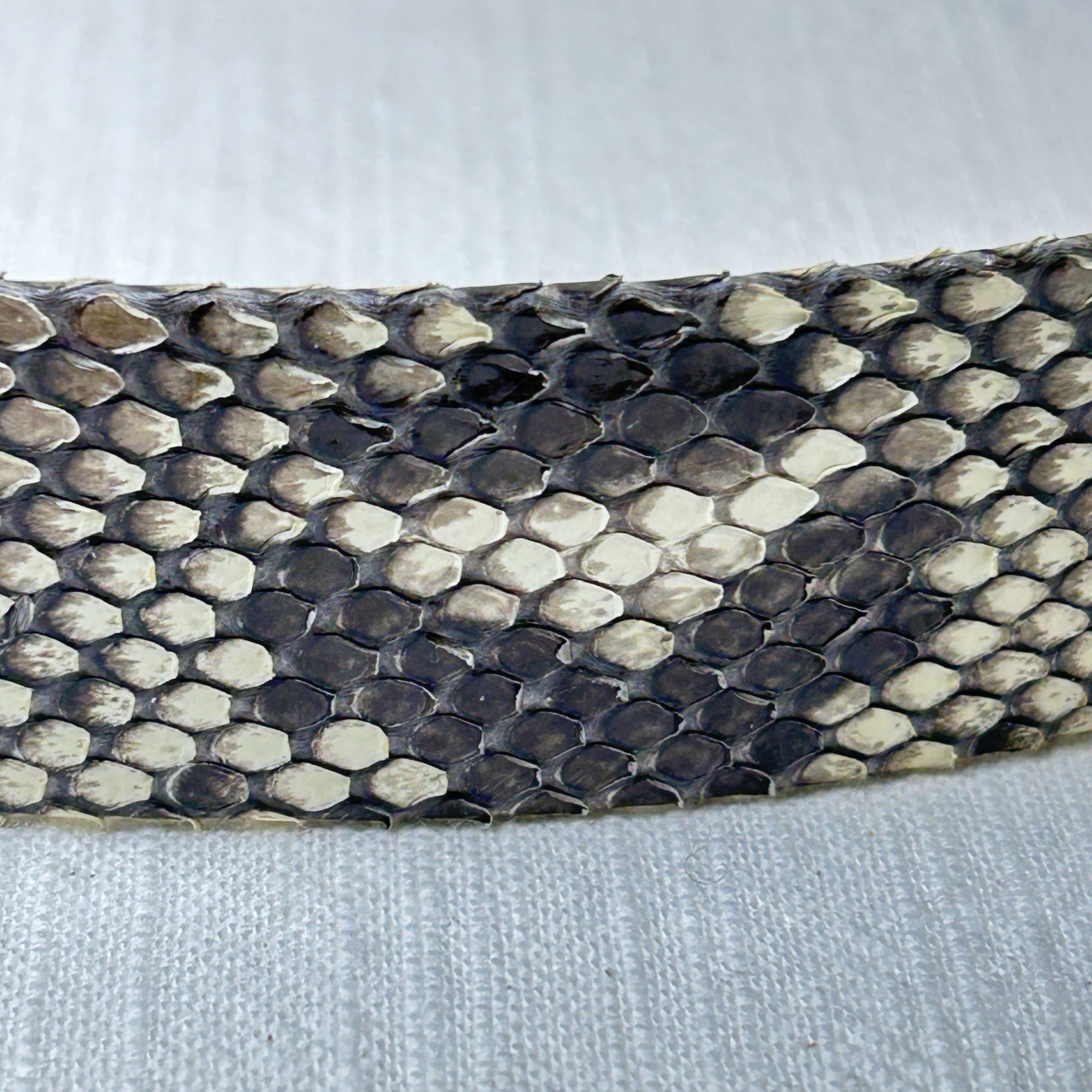 Margarita Barrera Snakeskin Embossed Leather Belt Strap 1 3/8” W 37 1/2” L