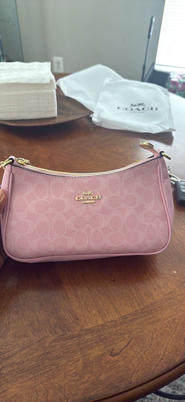 Coach Teri Shoulder Bag In Signature Canvas With Charms Powder Pink NWT
