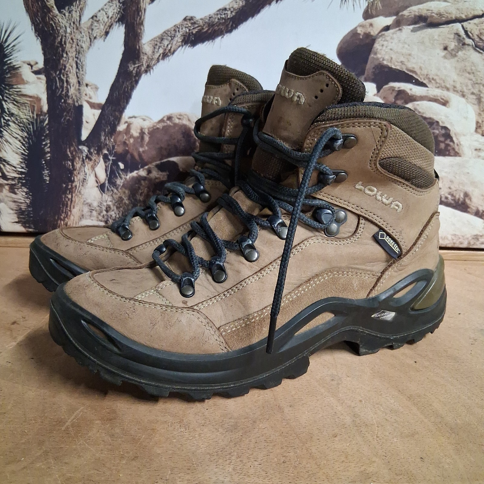 LOWA Renegade GTX Mid Women’s 8 Hiking Boots Leather GORE-TEX Vibram Gorpcore
