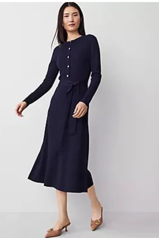 NWT ANN TAYLOR NIGHT SKY RIBBED HENLEY BELTED SWEATER DRESS SZ SP S PETITE