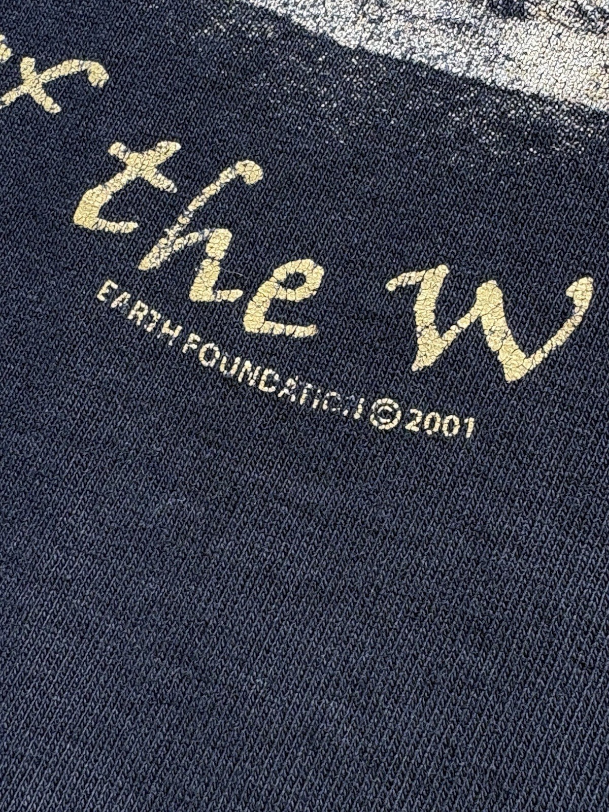 Vintage Blue Single Stitch Wolf “Call Of The Wild Ones” T Shirt Size XXL 2001