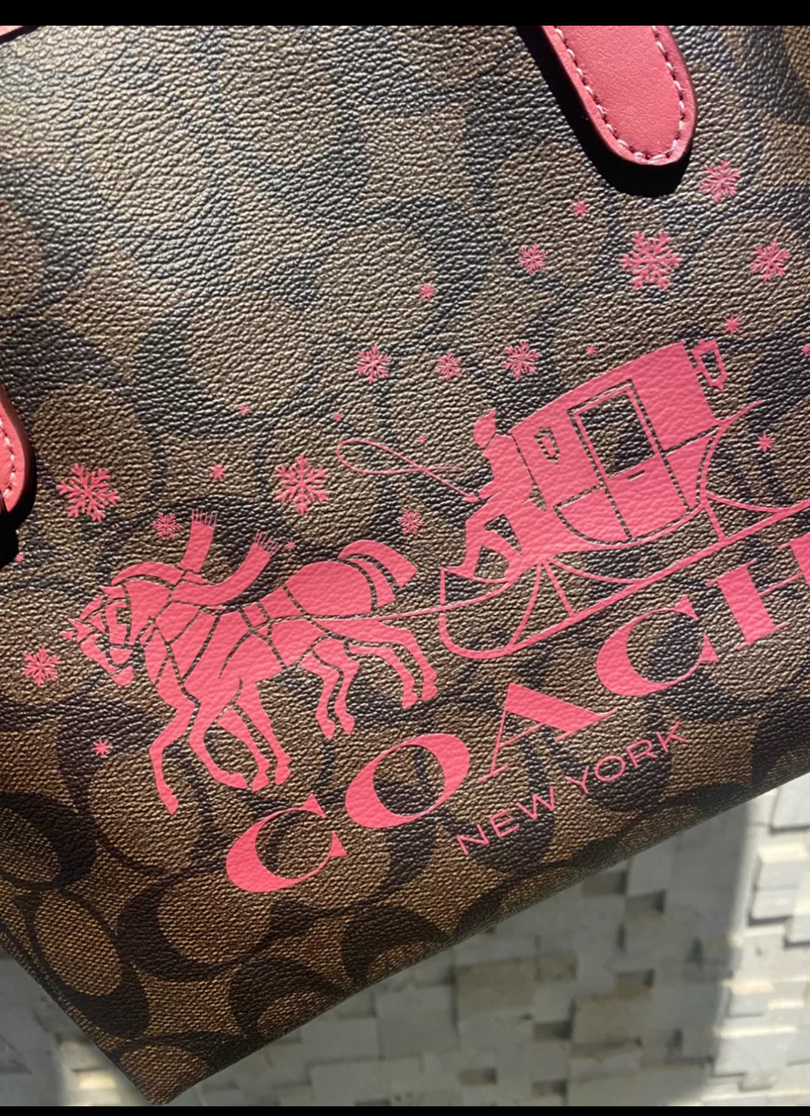 COACH Signature Mini City Tote