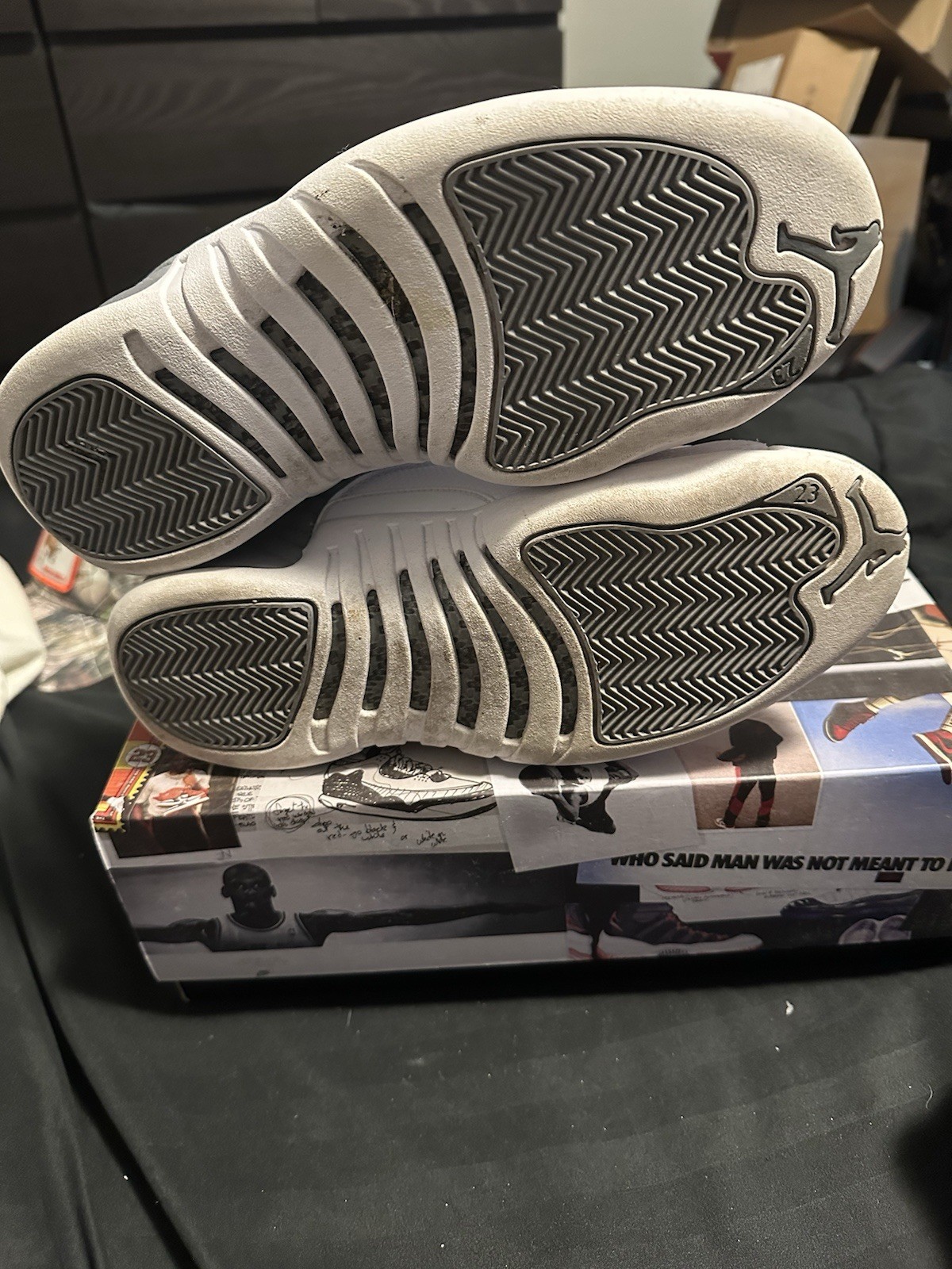 Jordan 12 Stealth Men’s