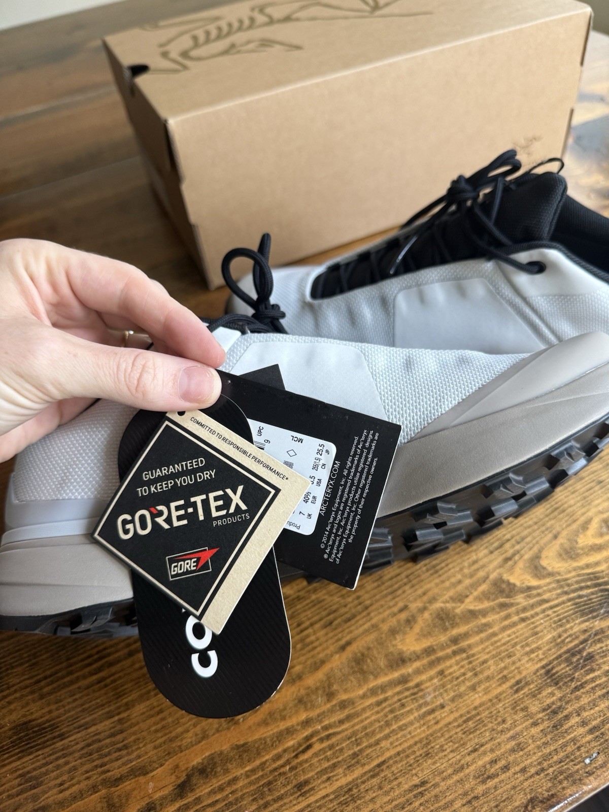 Arc’teryx Kopek GTX Trainer