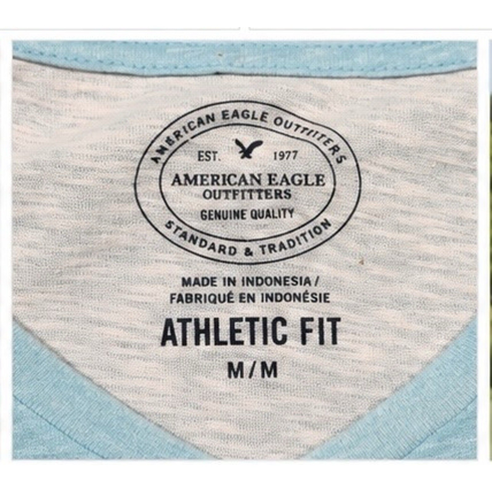 American Eagle Outfitters Mens Athletic Fit Striped V-Neck Tee M Blue/Black