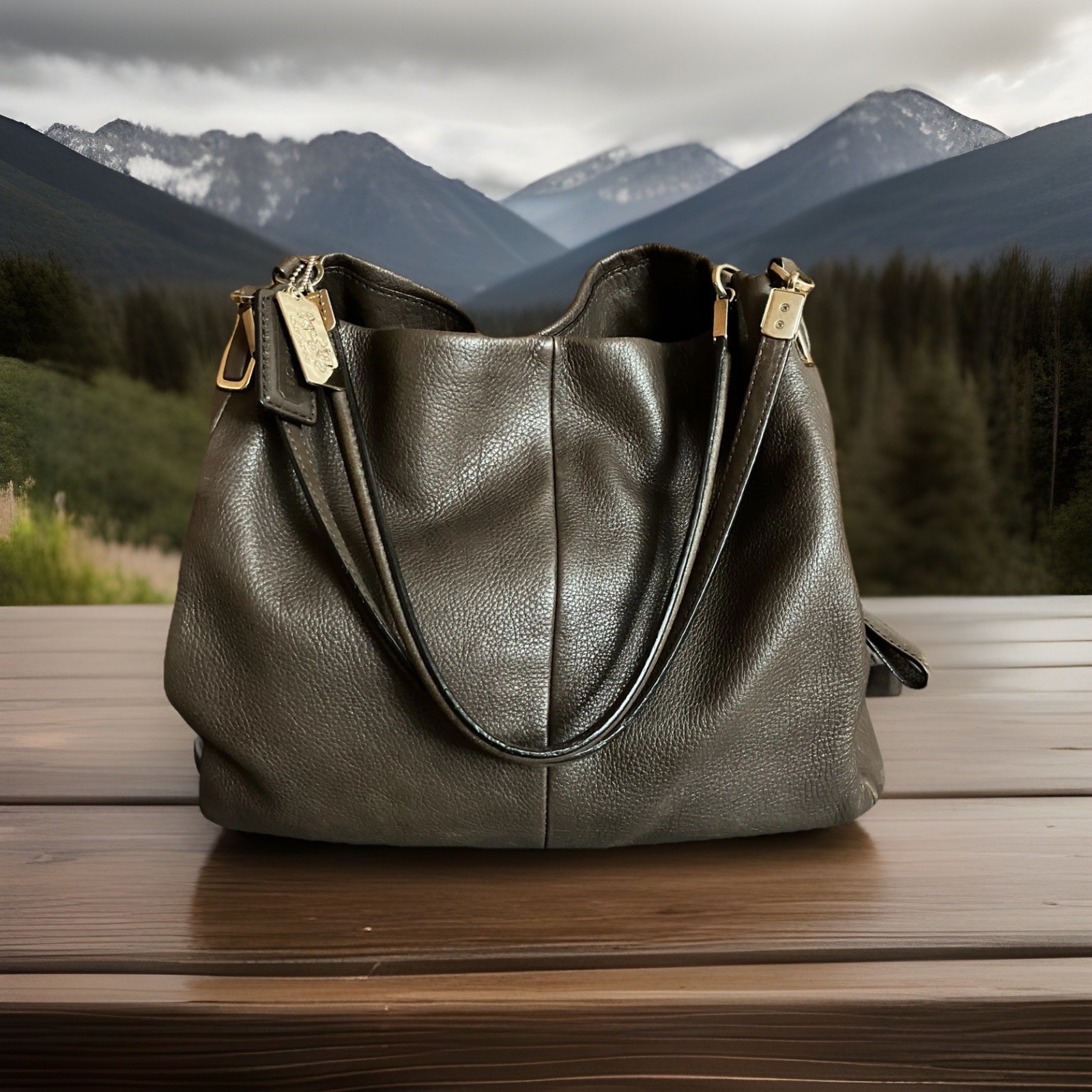 Coach Chocolate Brown Madison/Phoebe Pebble Leather Triple Entry Shoulder Bag