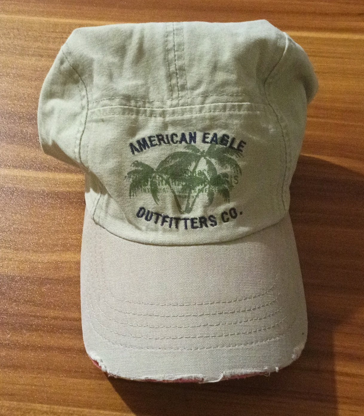 Vtg American Eagle Outfitters Palm Tree Dad Hat Distressed Made in Taiwan Y2K