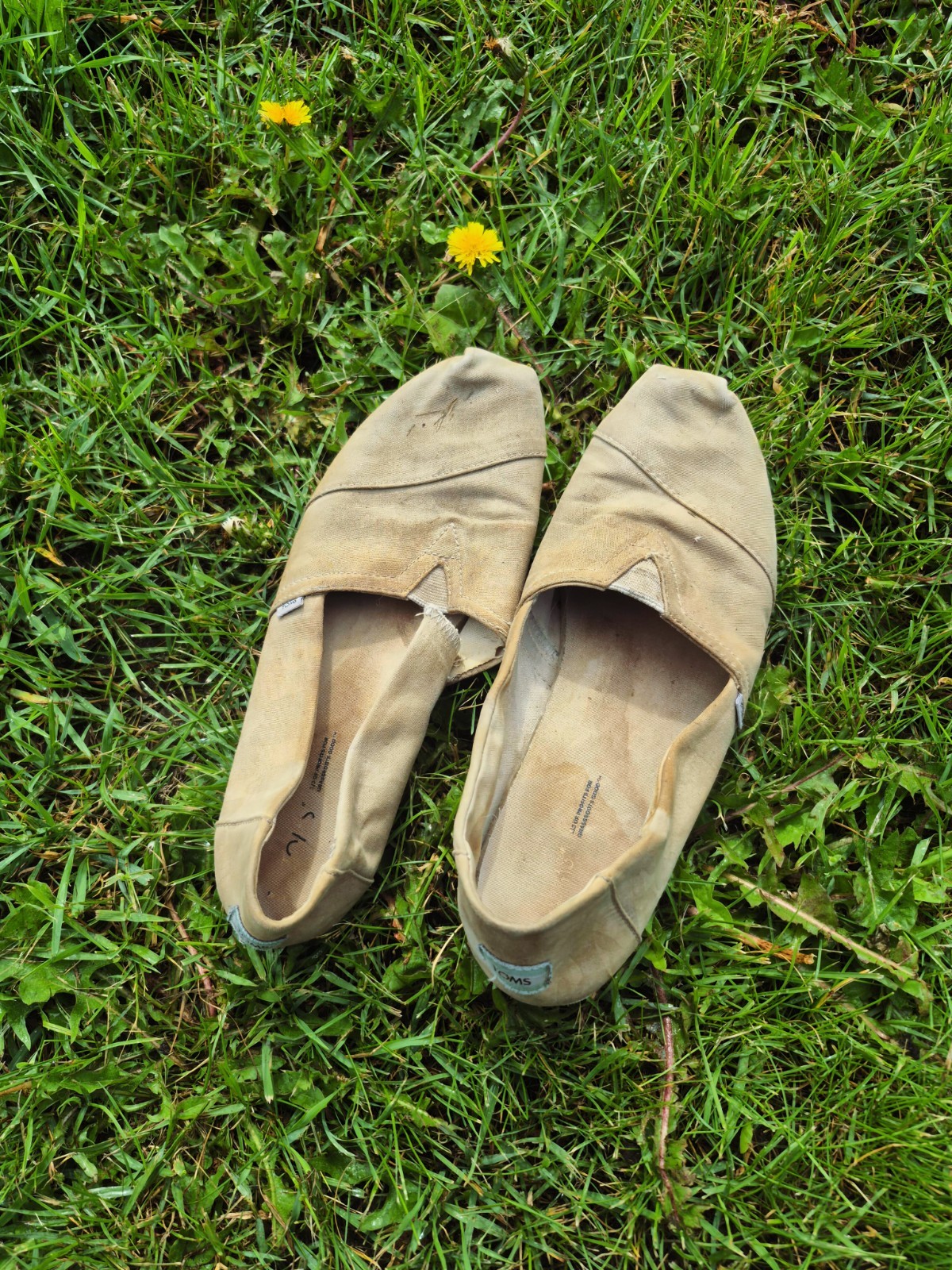well-worn flats , Tom’s, super comfortable great for yard work ext.