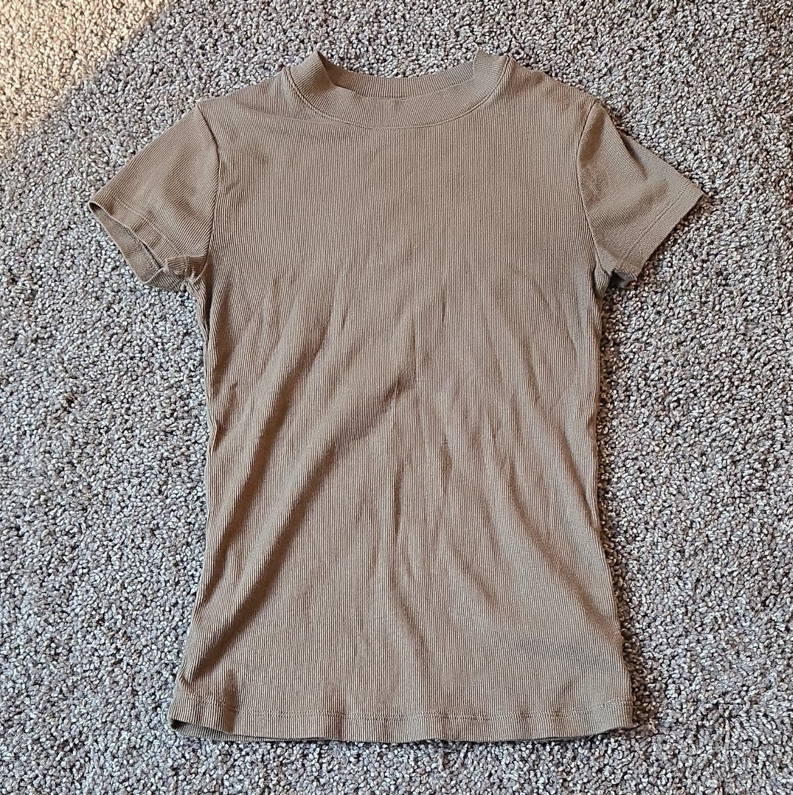New Day Women’s Beige Solid Ribbed Knit Crew Neck Short Sleeve Pullover XS