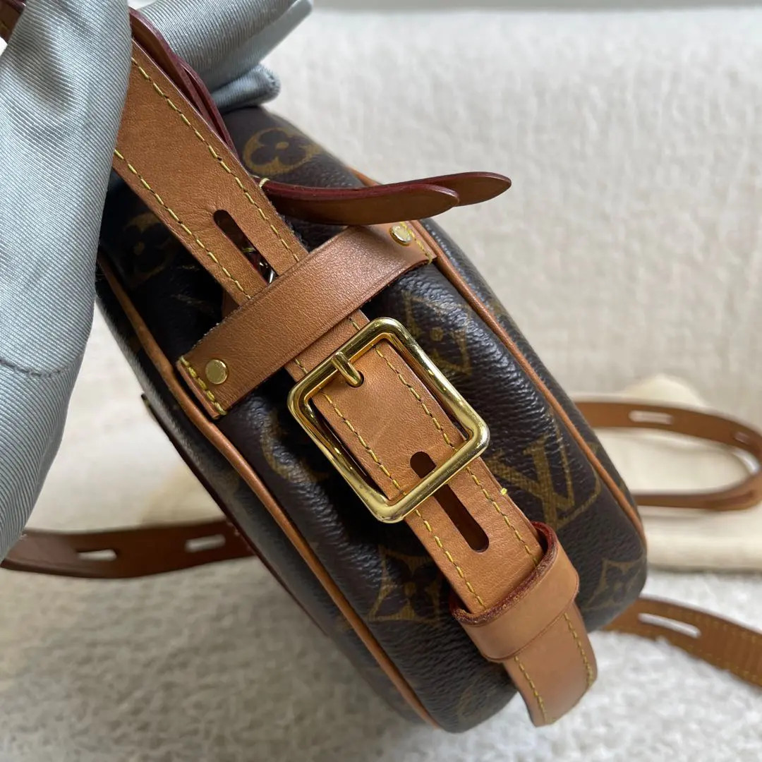 Louis Vuitton Large Soft Round Monogram Bag