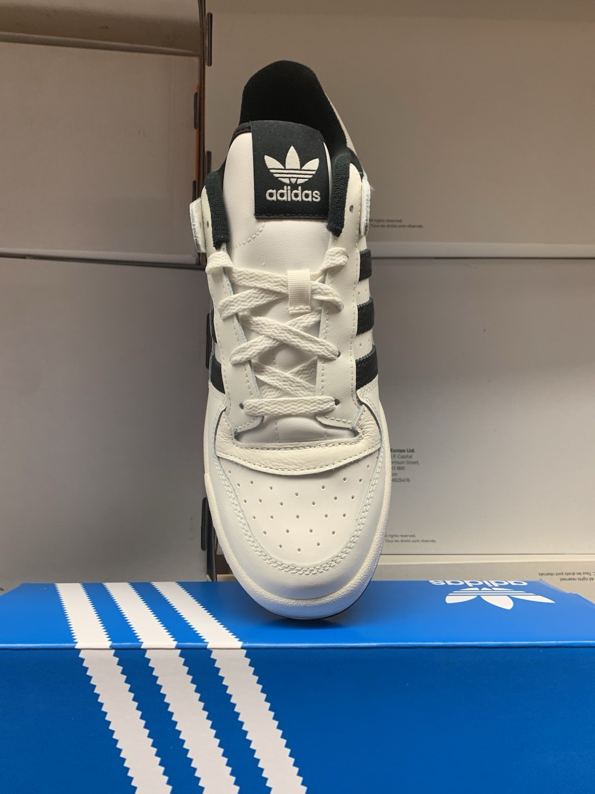 ADIDAS FORUM CL Men’s NEW Medium Width