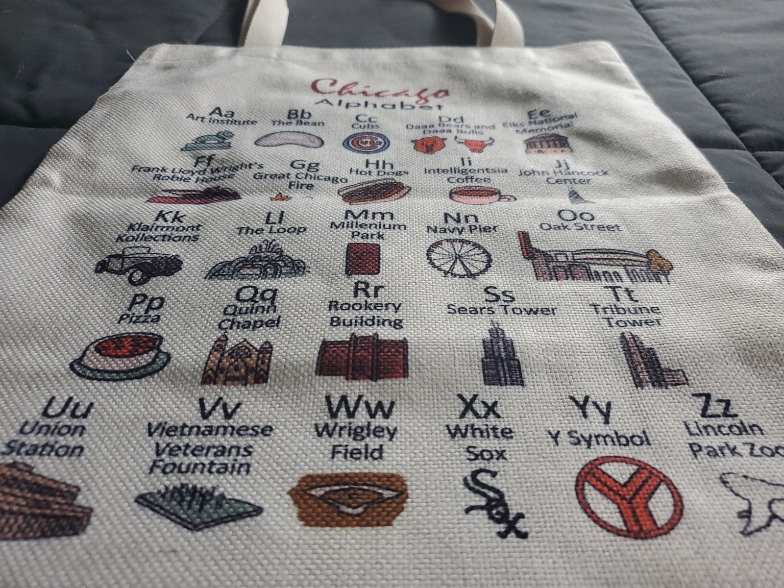 Chicago Tote Bag NEVER Used Great Condition See Pics
