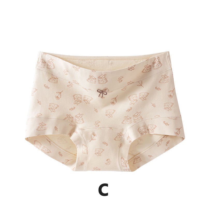 4X Women Cotton Boy Shorts Floral Print Light Tummy Control Full Coverage L-2XL