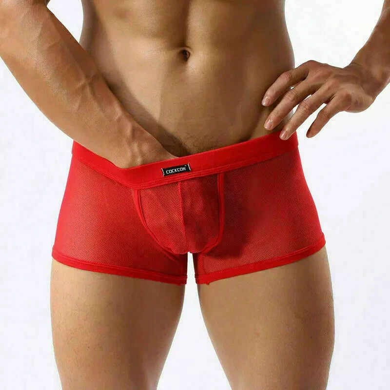 VARIOUS Men’s Sexy Transparent Spandex Fishnet Boxer Shorts – Adult Underwear