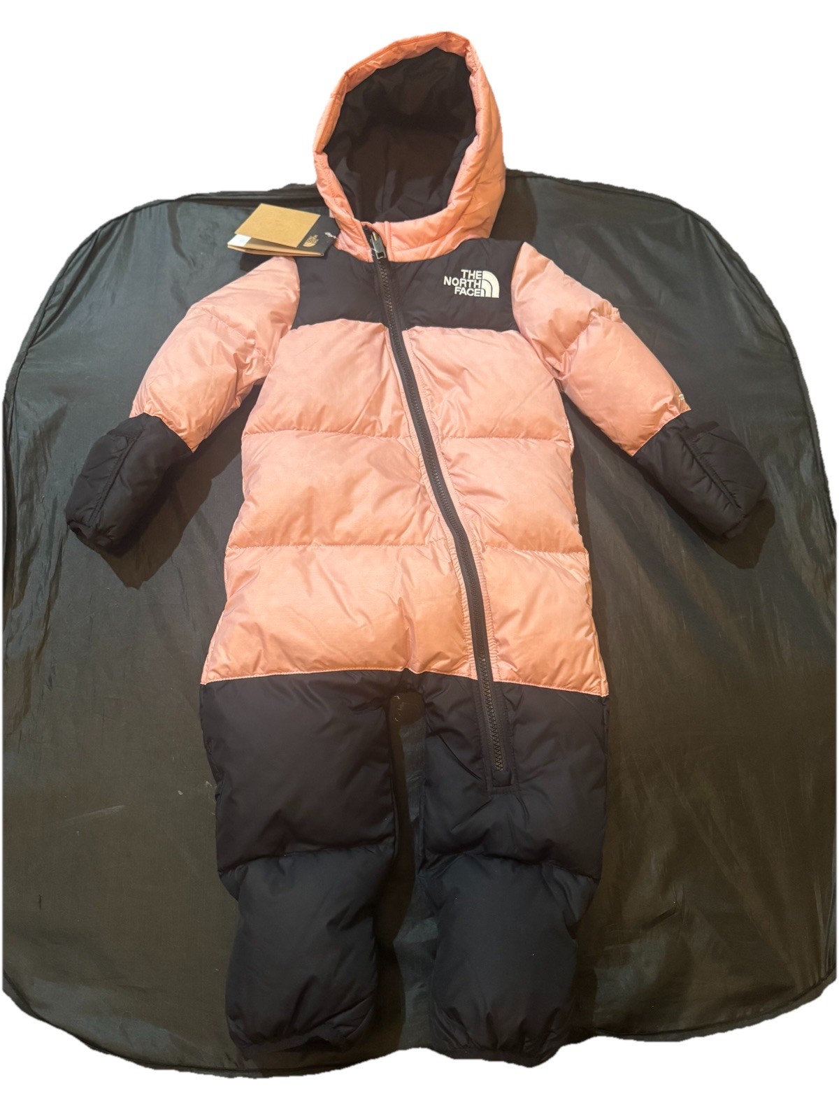 The North Face Baby 1996 Retro Nuptse One-piece Infant Shady Rose 12m – 18m NEW