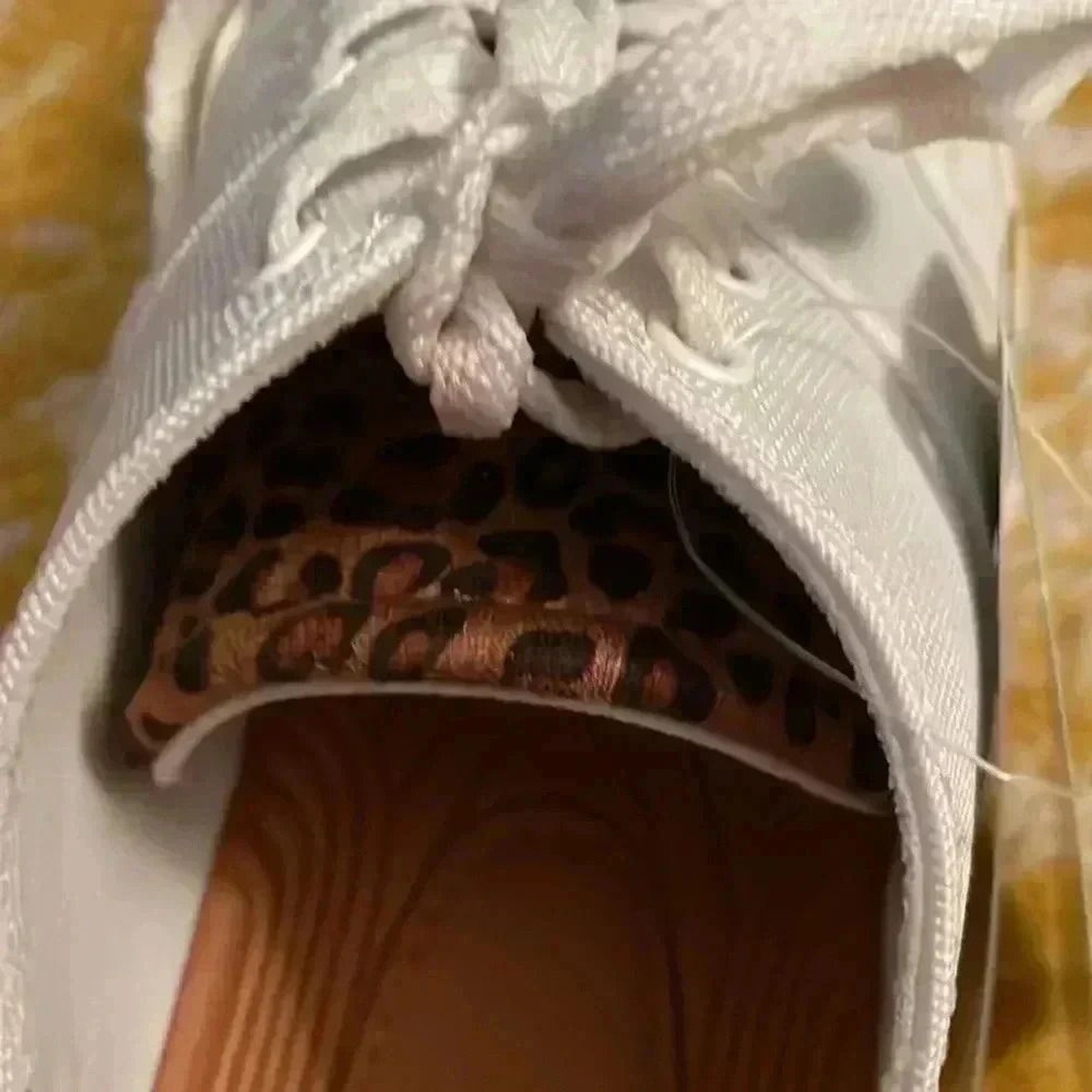 Bear traps canvas anti-microbial sneakers with leopard print detail 8.5 NWOB