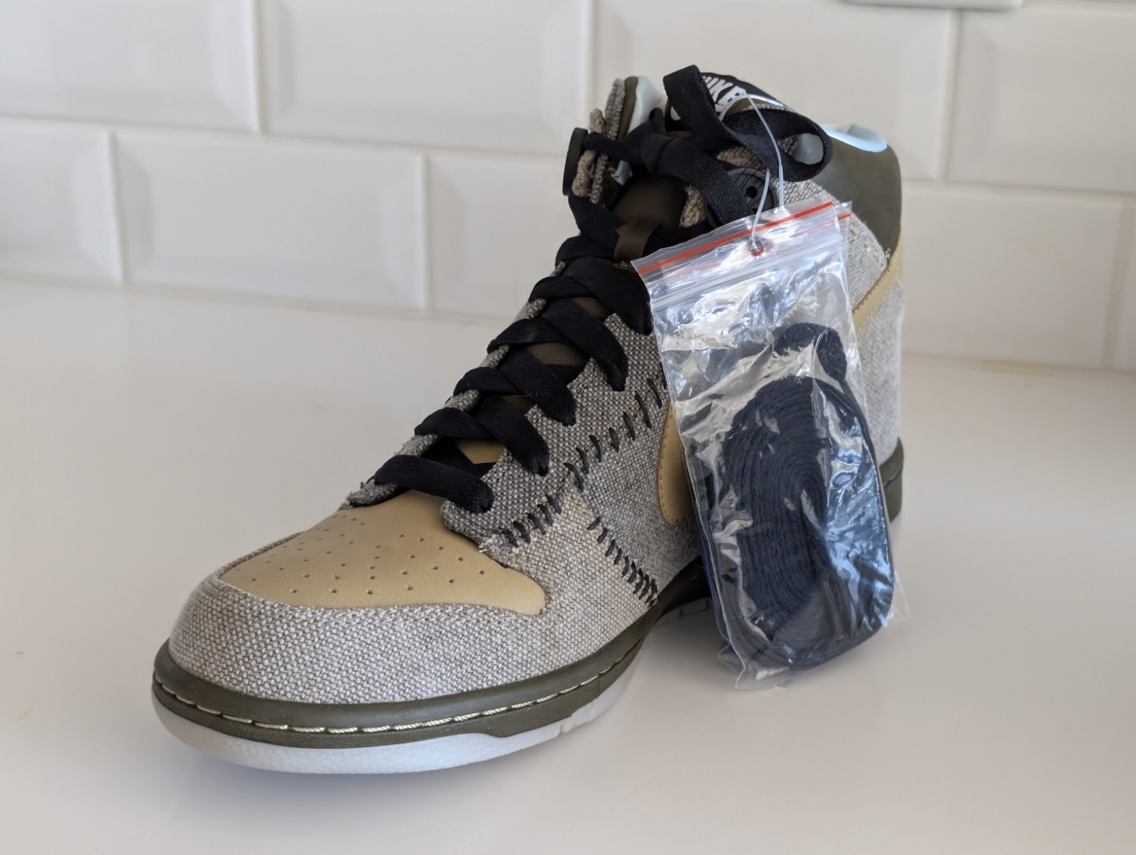 Size 10.5 – Nike Dunk High Coraline