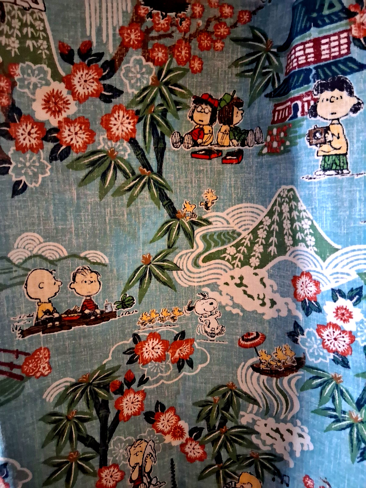 Reyn Spooner Men’s ” PEANUTS IN JAPAN” NWT PULLOVER Classic Fit Aqua Shirts