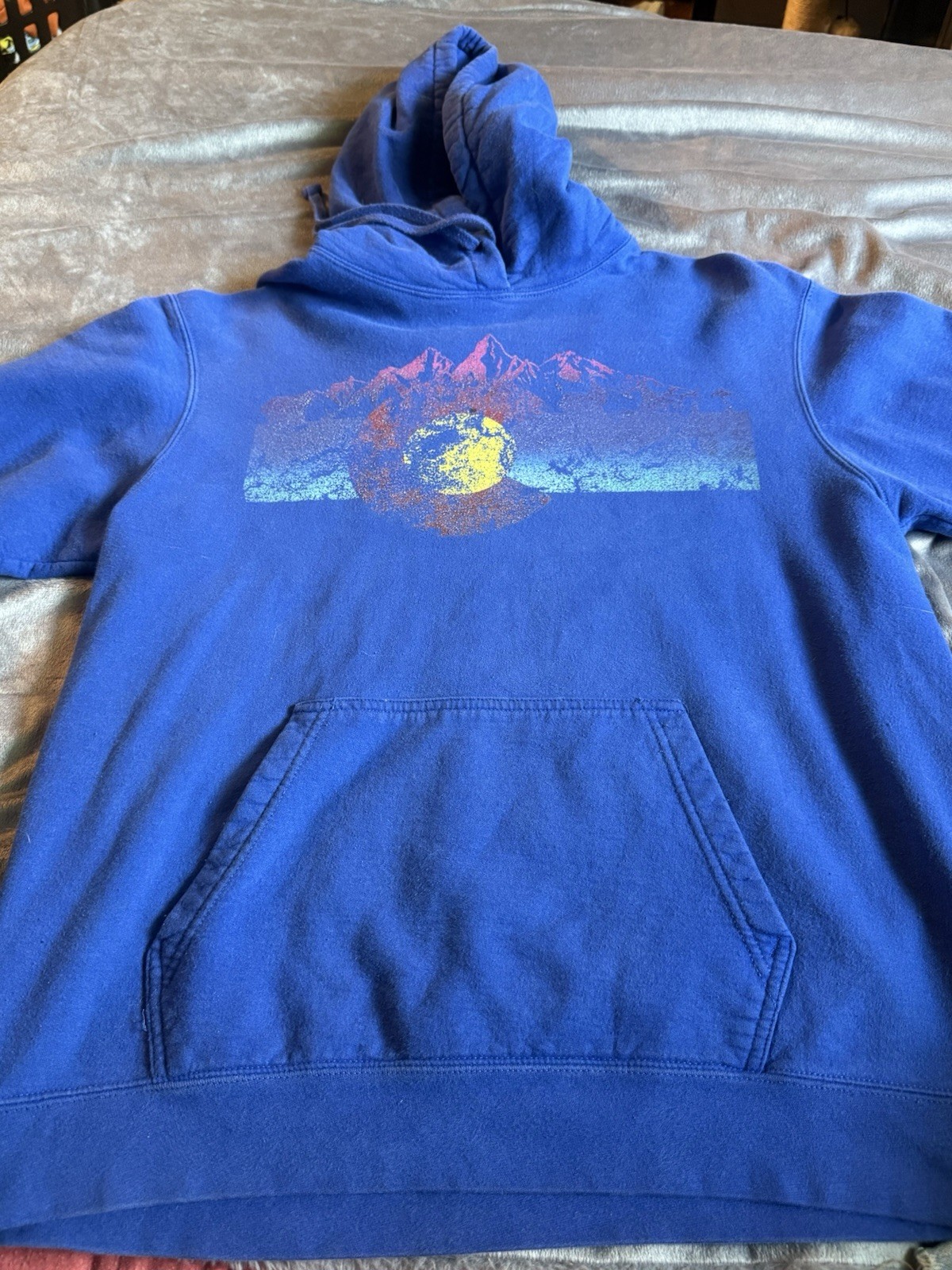 Port & Company Men’s Blue Pullover Hoodie L Nature Graphic Print Kangaroo Pocket