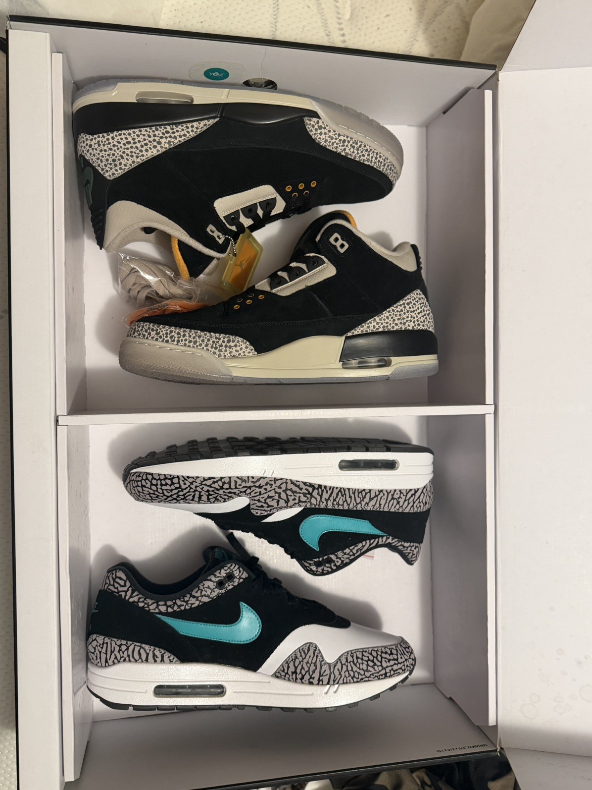 AIR JORDAN RETRO 3 & AIR MAX 1 ‘ATMOS PACK’ Size 13