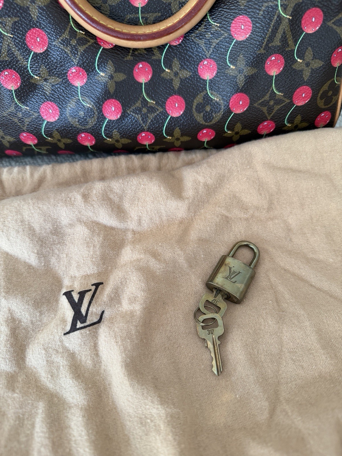 Louis Vuitton Speedy Satchel 25 Brown Canvas Monogram Cerises