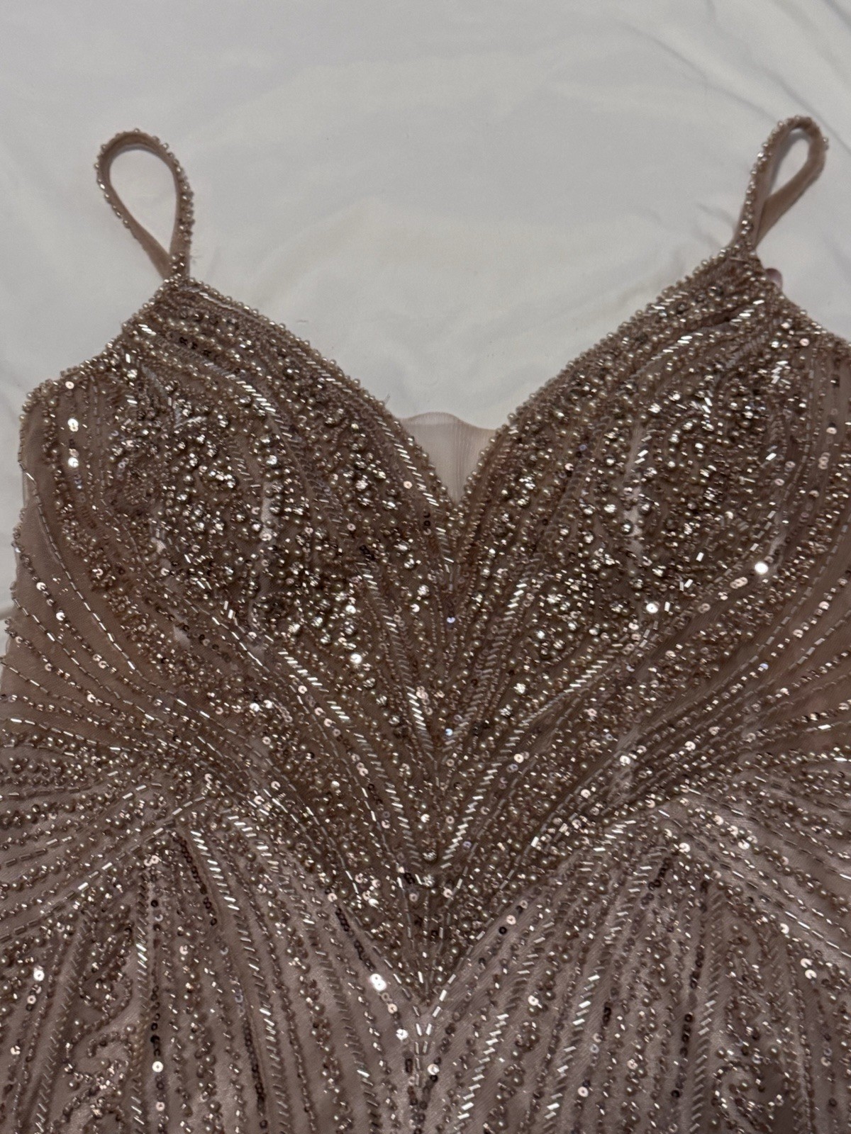 Ladivine by Cinderella Divine Champagne Beaded Sequin Mesh Gown Dress Size 12P