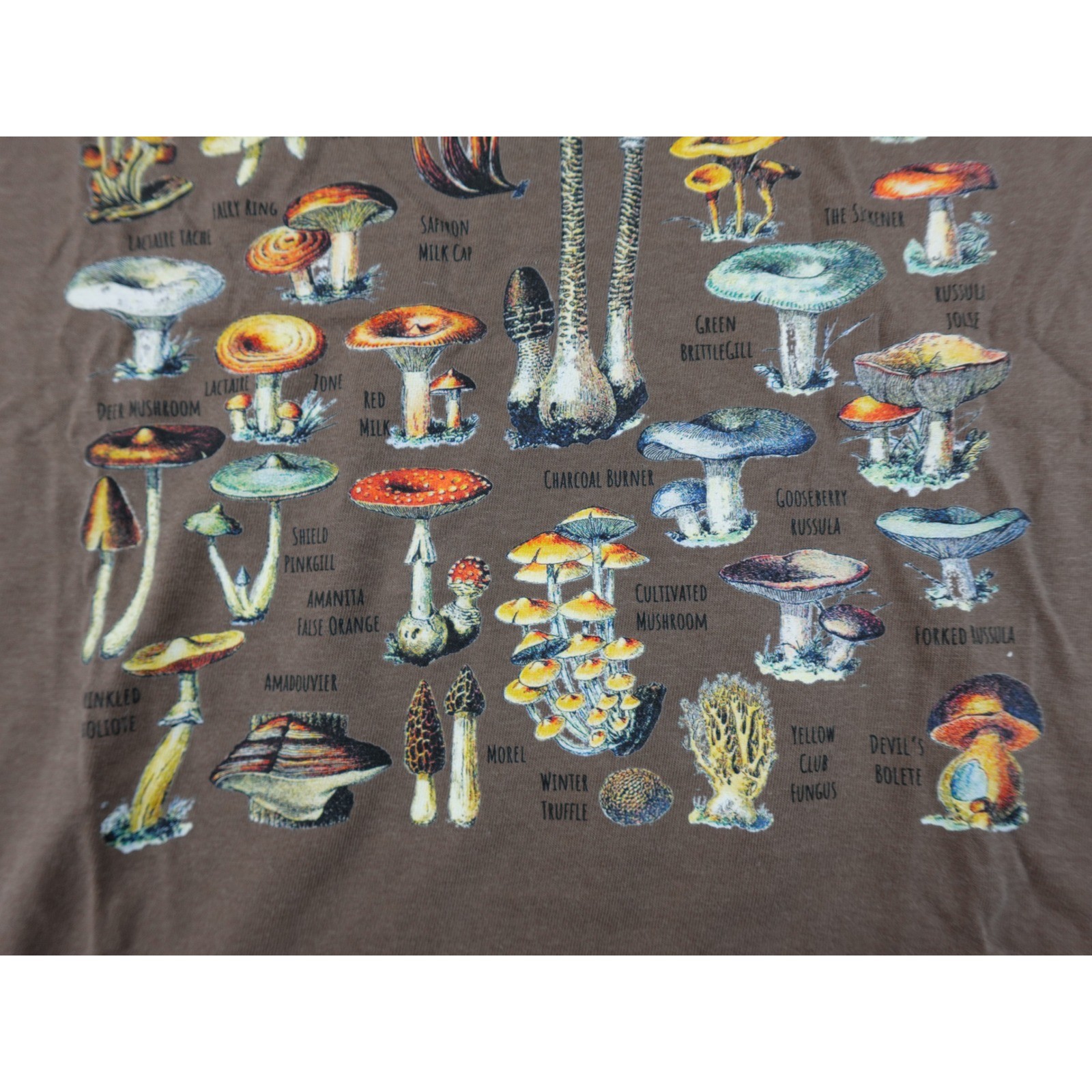 Comfort Colors Mushroom Identification Graphic T-Shirt Mens Small Brown Cotton
