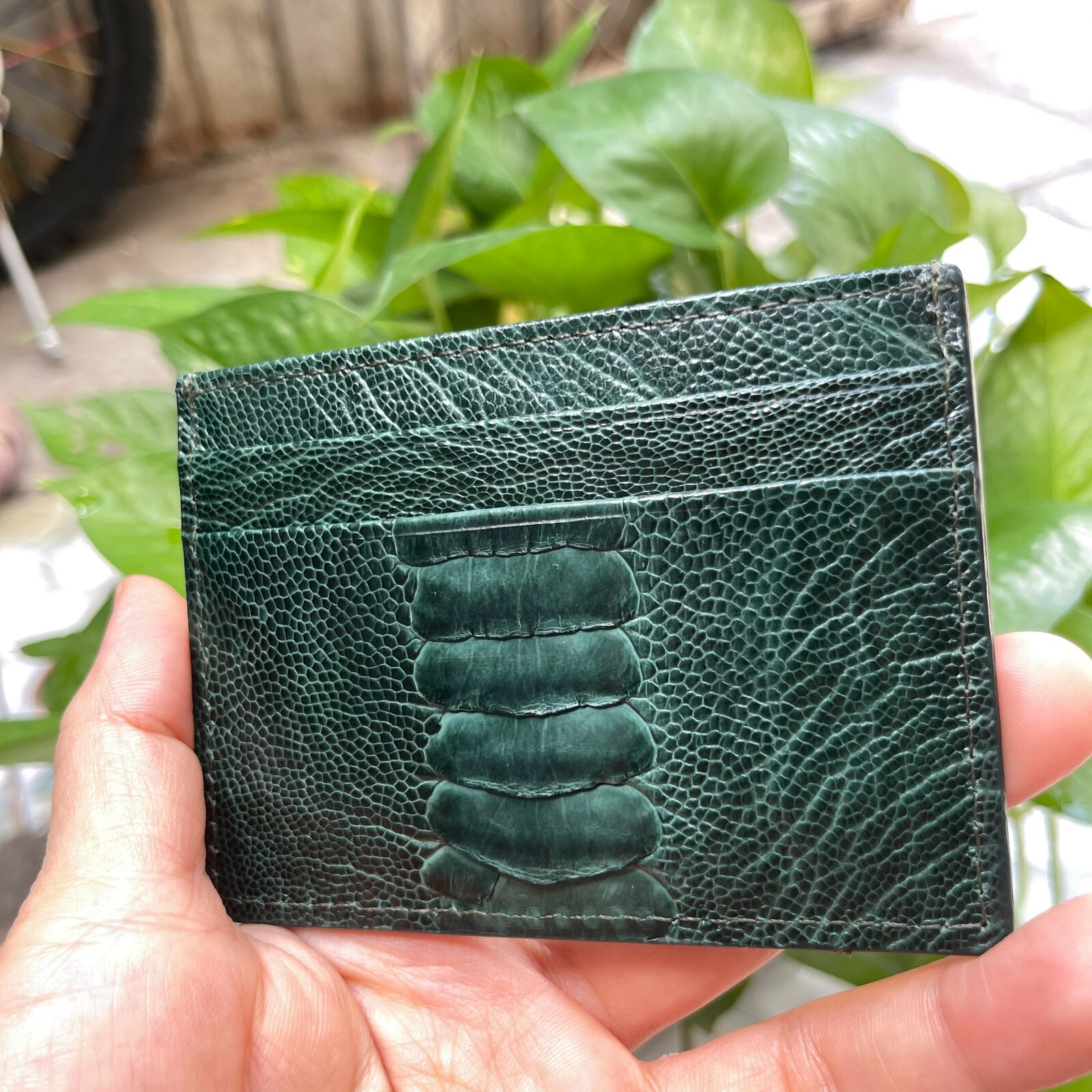 GreenGENUINE OSTRICH LEATHER SKIN CREDIT CARD HOLDER/ WALLET CARD HOLDER FOR MEN