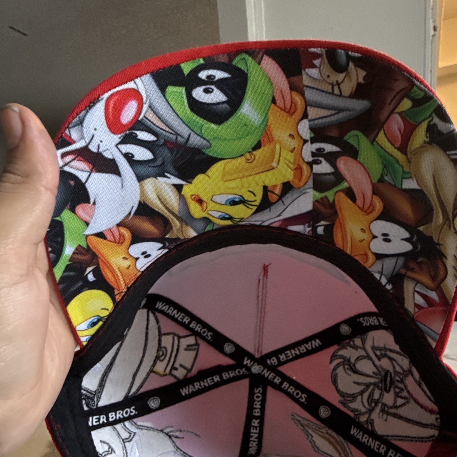 Warner Bros. Gorra Baseball Roja Ajustable Looney Tunes Personajes Bordados