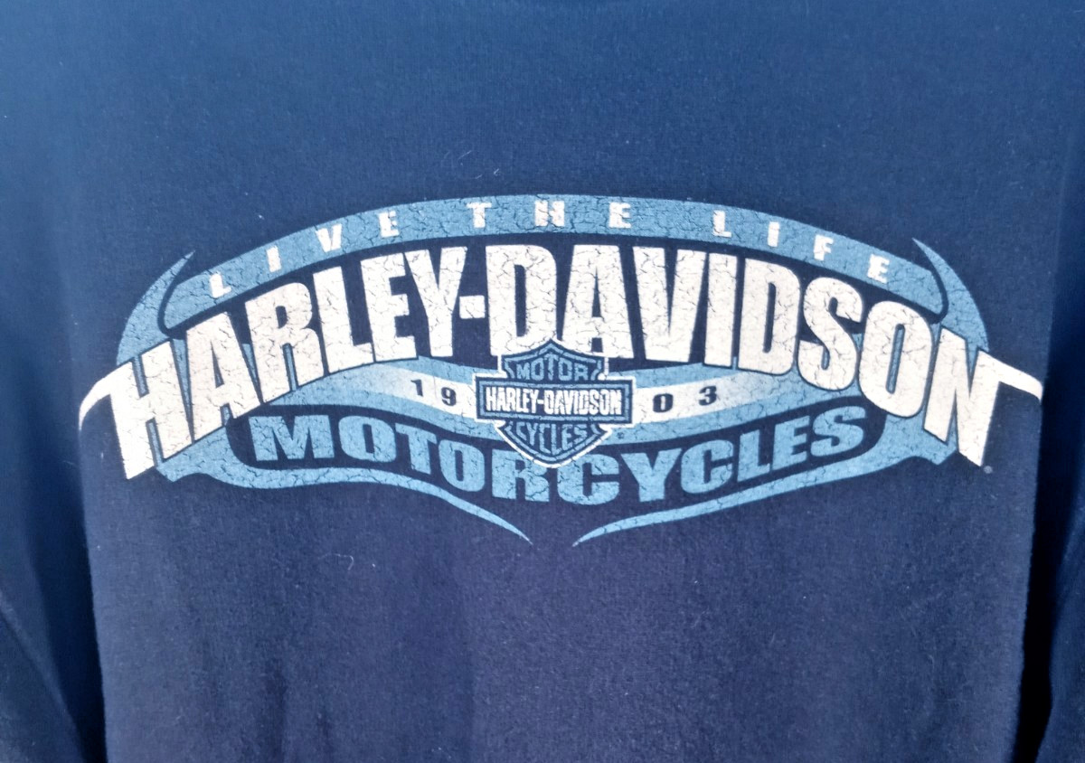 Harley-Davidson Y2K Battlefield Gettysburg, PA Graphic Print Sweatshirt Size L