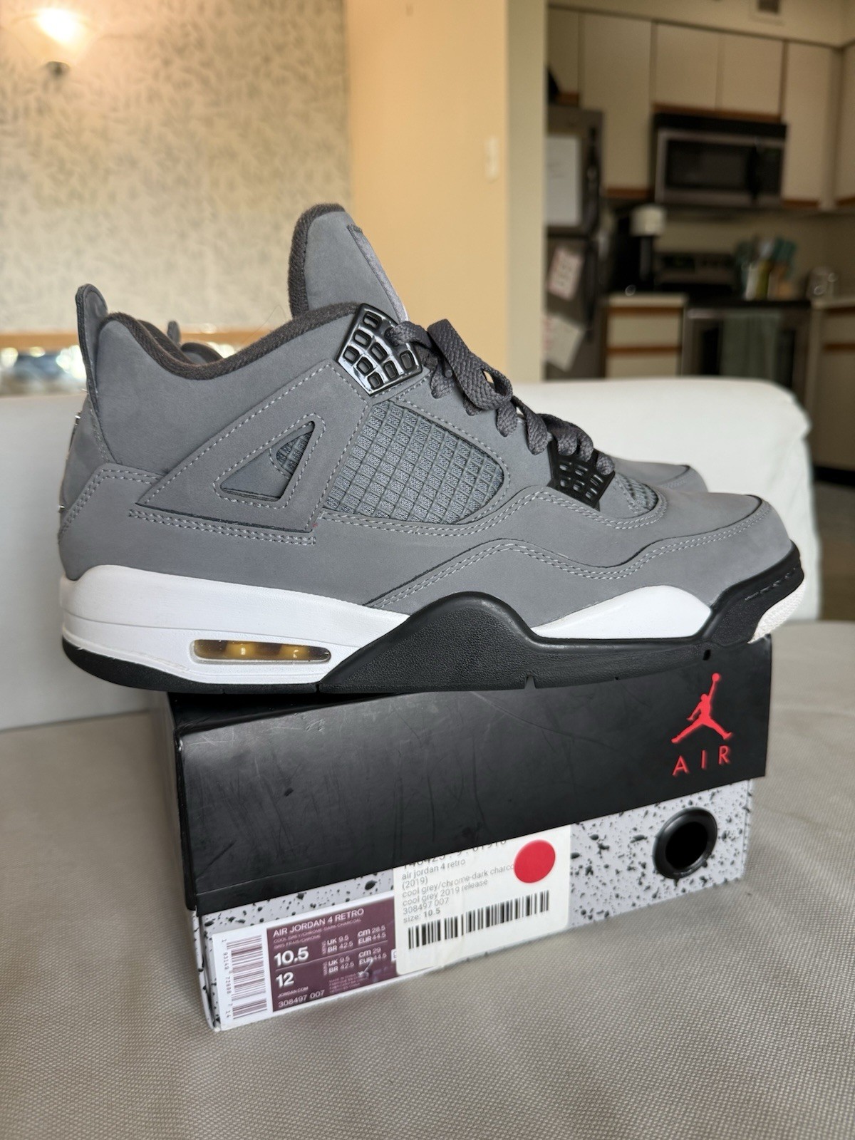 Air Jordan 4 Cool Grey 2019 Size 10.5