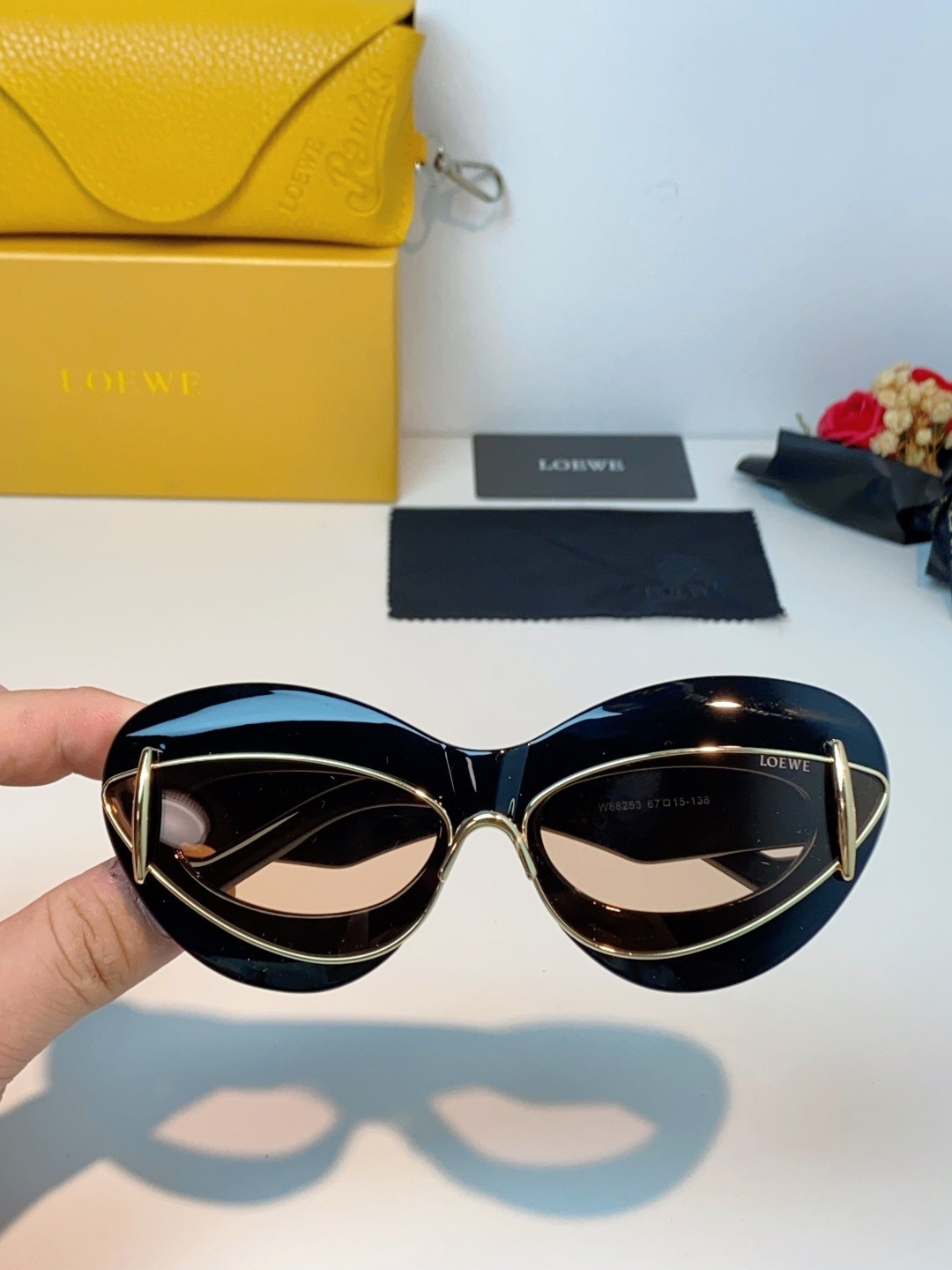 LOEWE Cat Eye Sunglasses Black Frame Light Pink Lens Double Rim Fashion Shades