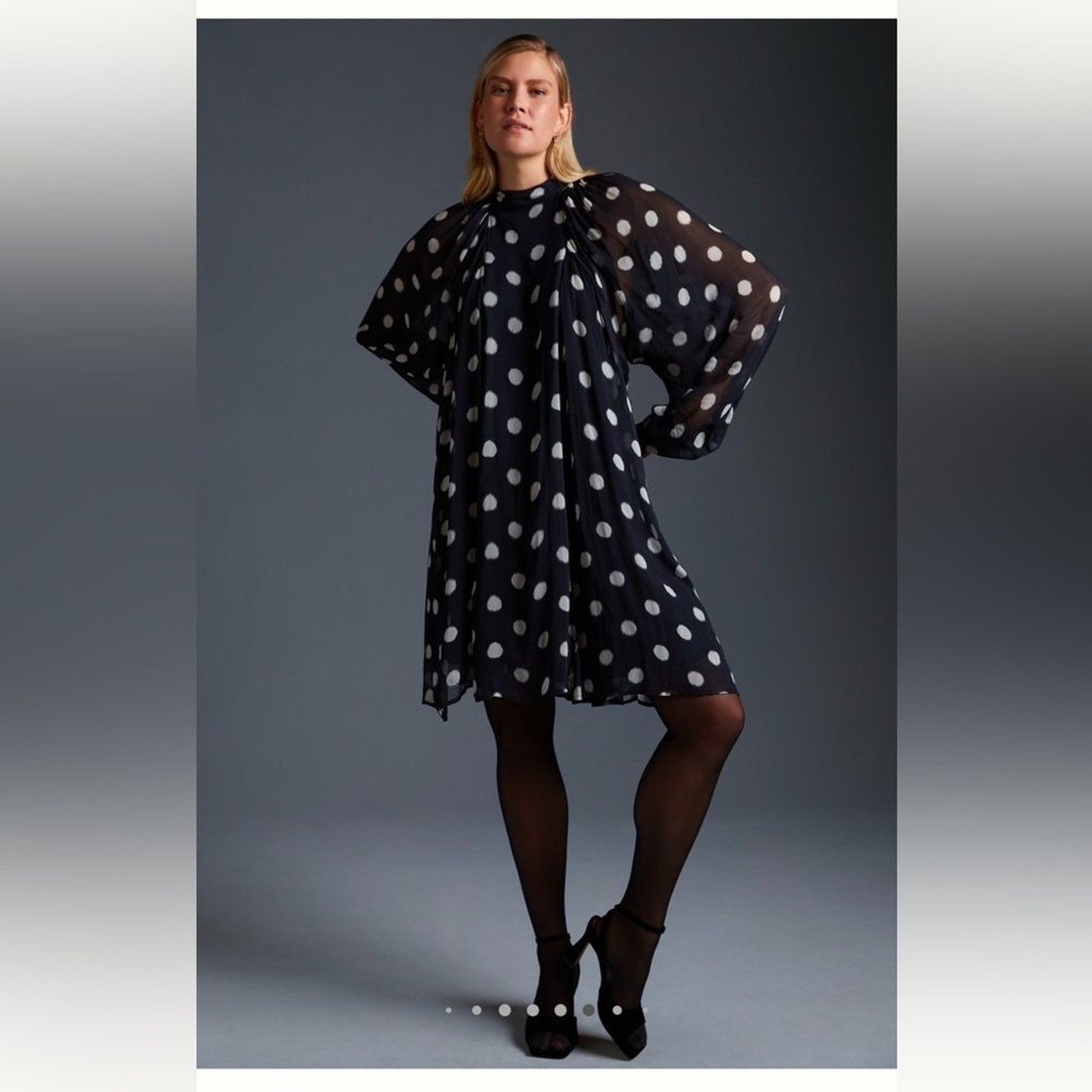 Maeve Long Sleeve Sheer Mini Dress