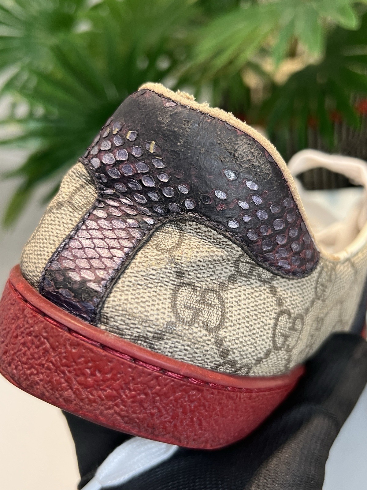 Gucci Ace GG Supreme Canvas Low Top Casual Sneaker Men’s Ebony 429445 U.S 7