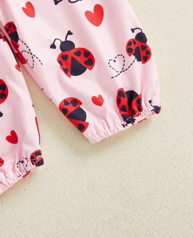 NEW Valentine’s Day Love Bug Ladybug Baby Girls Outfit Set