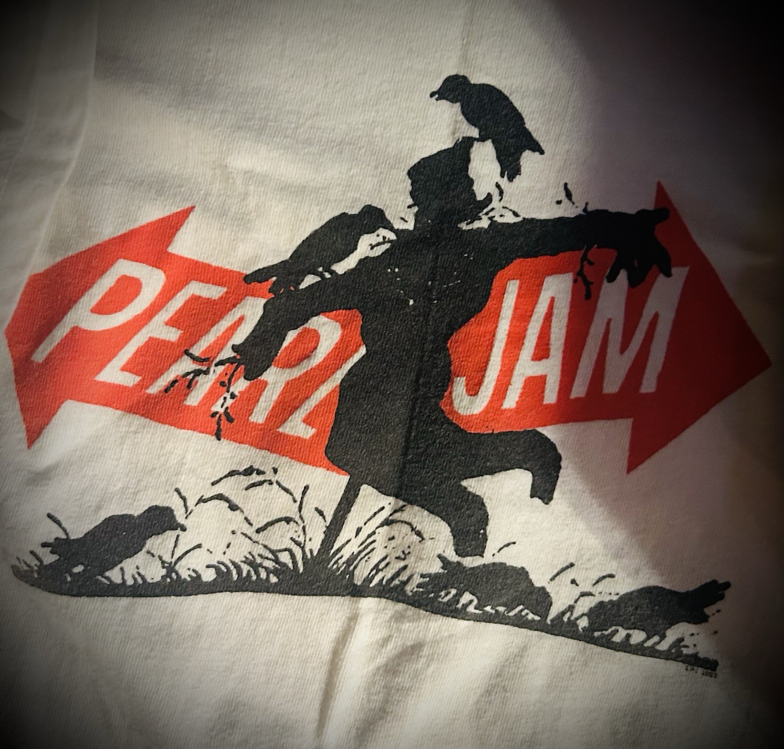 Pearl Jam 2-Pack (DVD + Vintage T-Shirt) 🎸Touring Band DVD & 2003 T-Shirt (M)