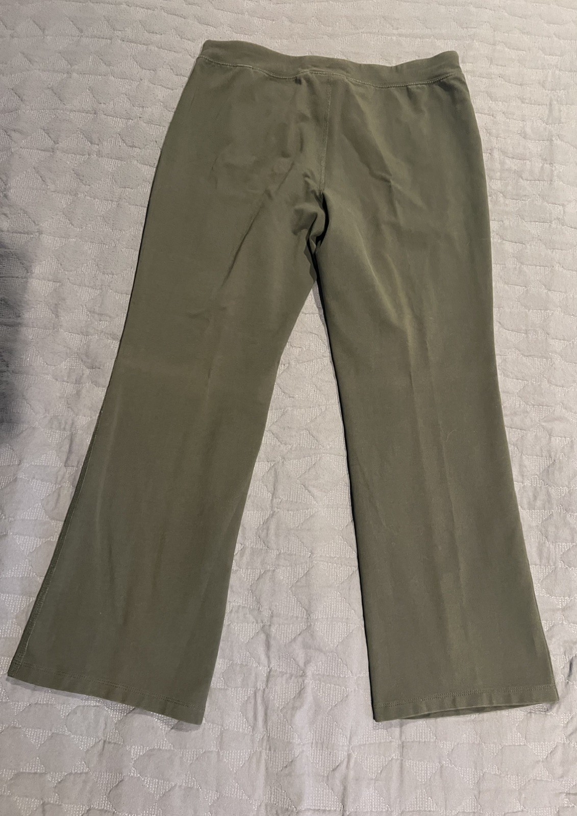 D&Co Denim & Company Active Pull On Casual Pants Stretch Green Sz. Medium Petite