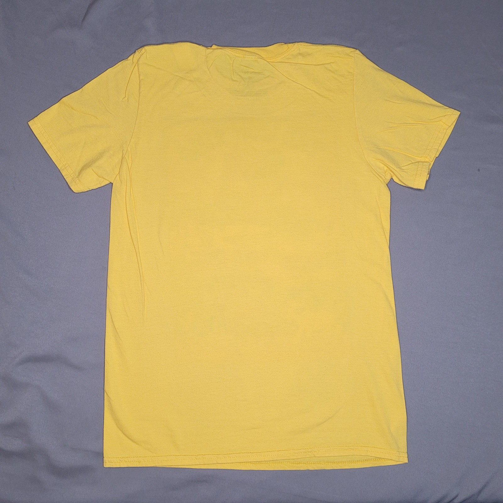 Disney Lion King Shirt Mens Small Hakuna Matata Simba Timon Pumbaa Graphic Tee