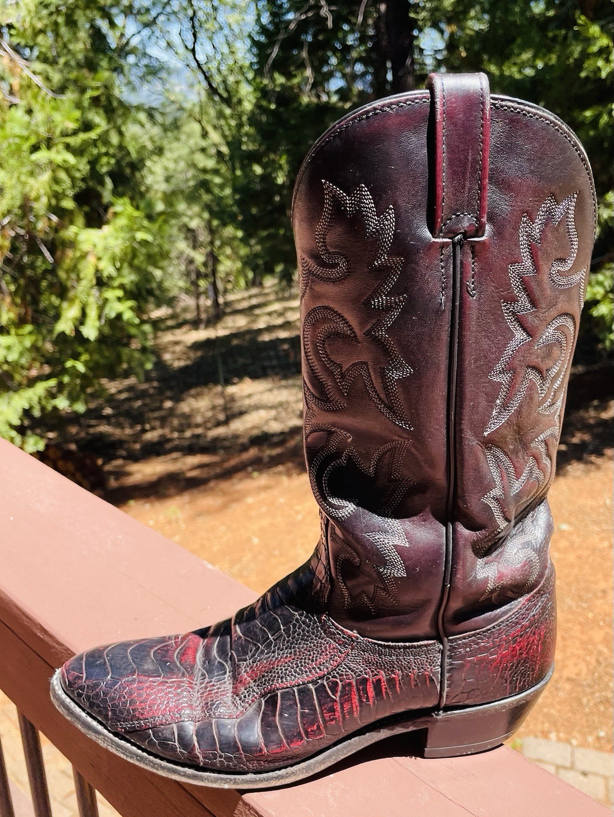 J.Chisholm Vintage Ostrich & Leather Cowboy Boots Black Cherry, 10.5 D, USA Made