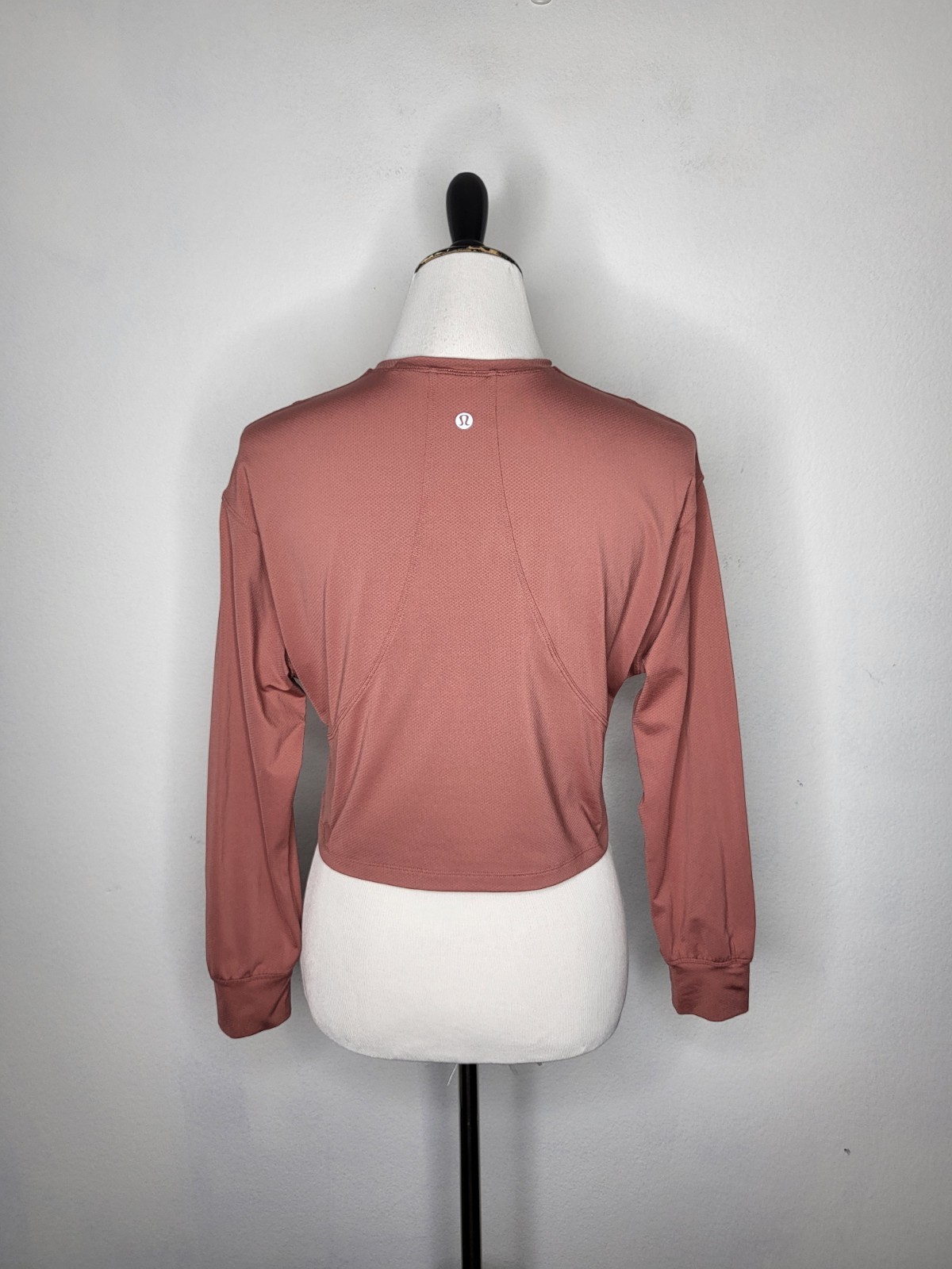 LULULEMON Abrasion Resistant Training Long Sleeve Shirt Brier Rose Women Size 6