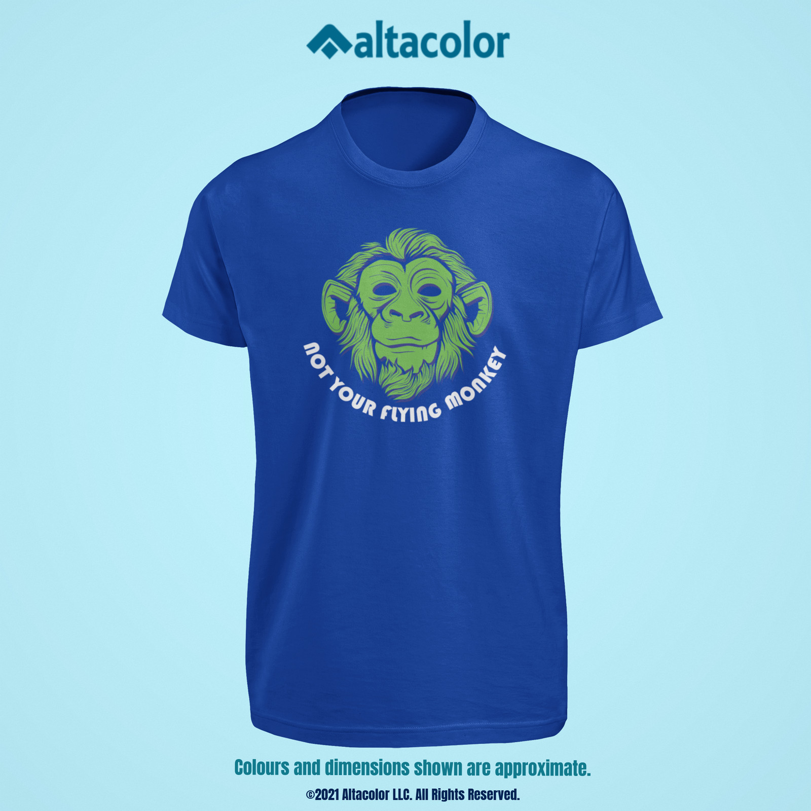 ONE DOZEN Custom Printed T-Shirts on Hanes Gildan P&C Choice of Colours + Sizes