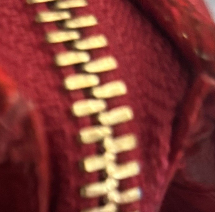 Brahmin Sophia Satchel Preloved 🌺