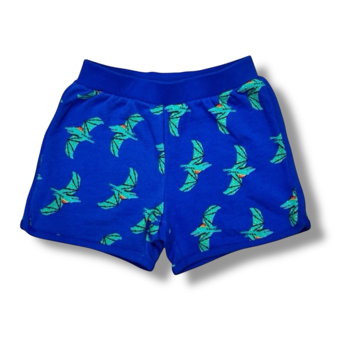 Hanna Andersson Shorts Boys 6-7 Blue Dino Print French Terry Summer Play Casual