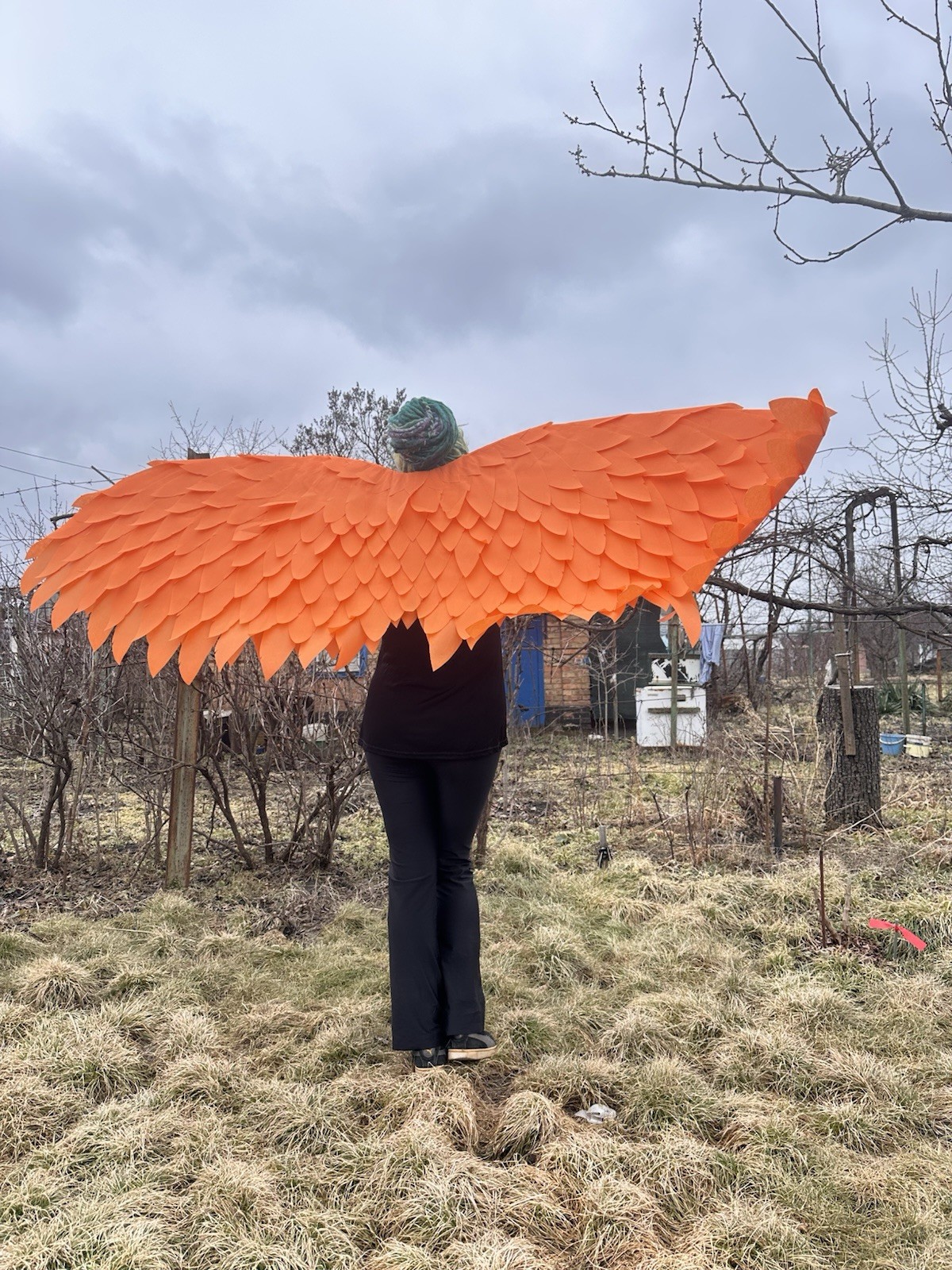 Fire Bird Wings Phoenix Wings Orange Angel Wings Costume