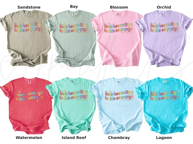 Comfort Colors Heterosexuality Shirt, In This Economy Shirt, Pride Gift Shirt