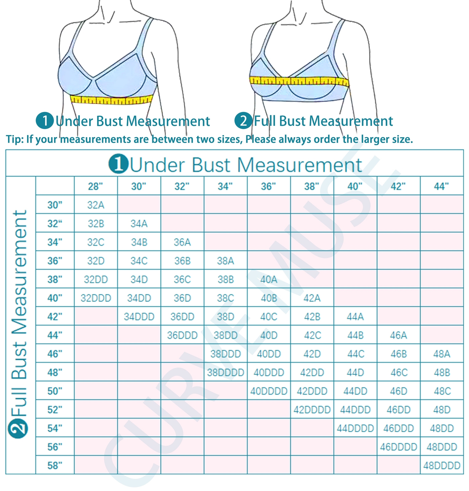 Women’s Plus Size Unlined Underwire Lace Bra with Cushion Straps